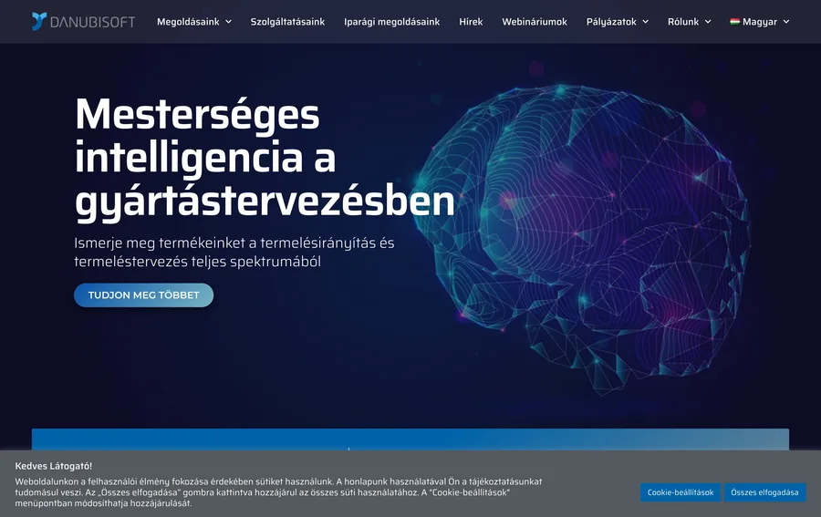 DanubiSoft — weboldal referencia