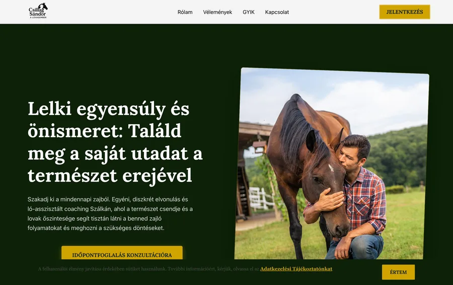 Lovasember — weboldal referencia